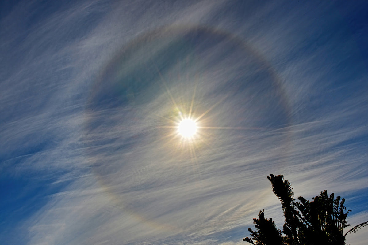 Celestial Halo: Sun Ring Over the Cape by Andriette Pretorius