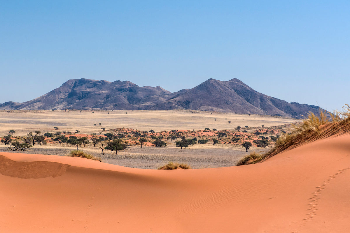 Footprints Through Namib Beauty