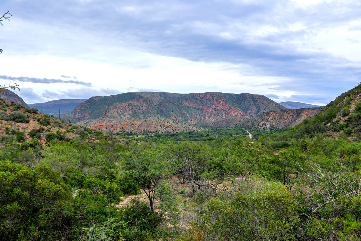 The Silent Valley: Remote Mountain Escape