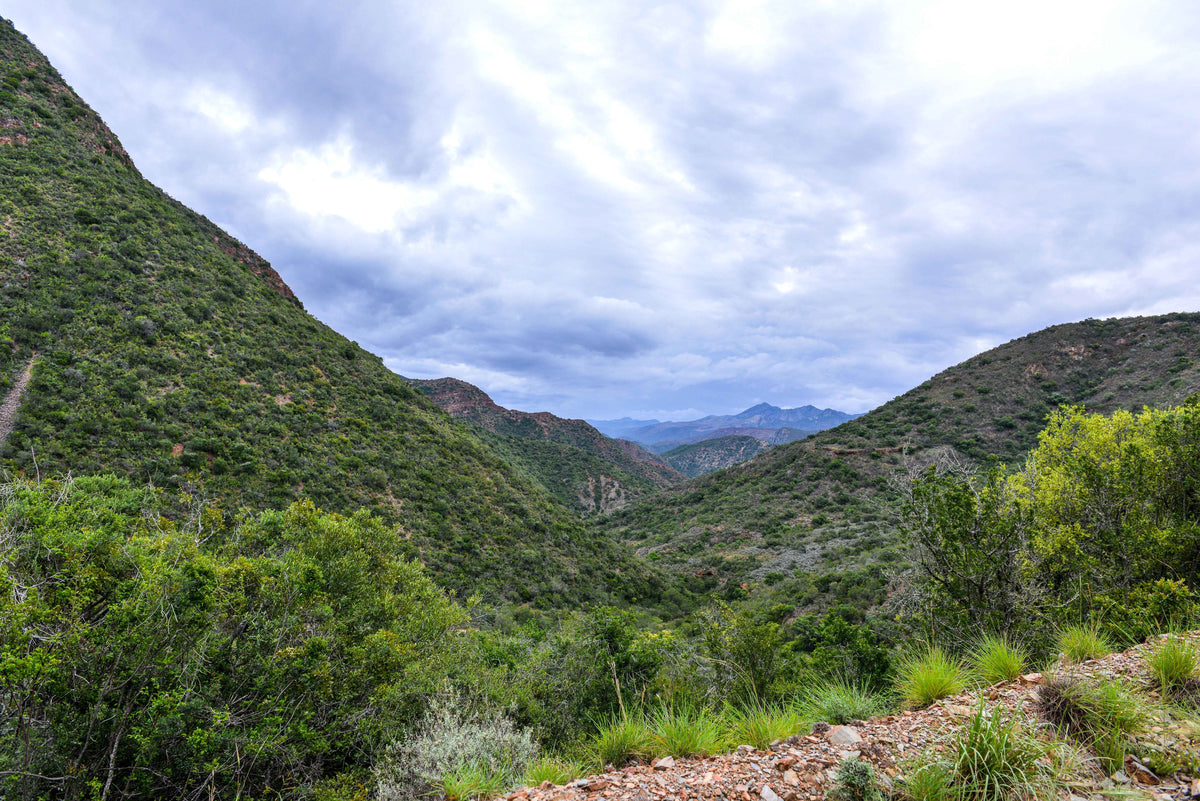 Beyond the Horizon: Deep Mountain Valley