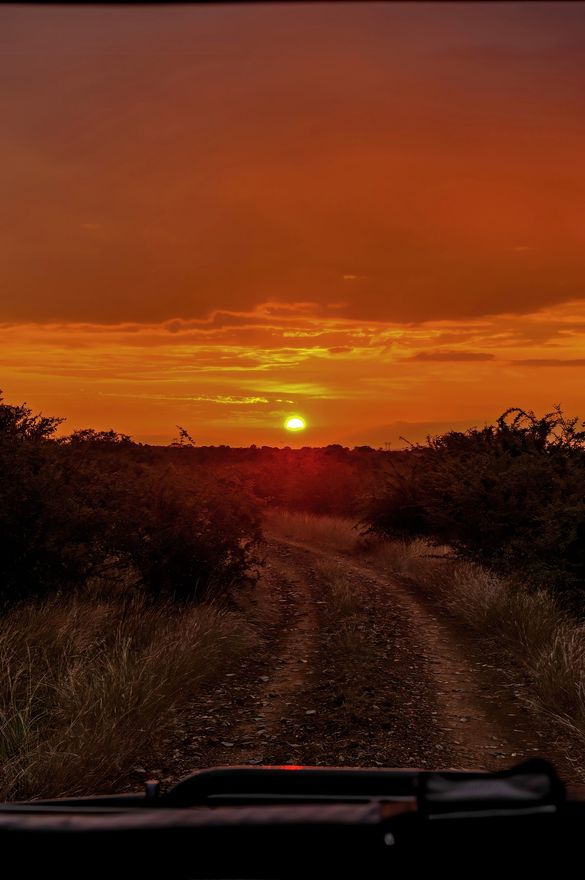 Sunset Safari Trail