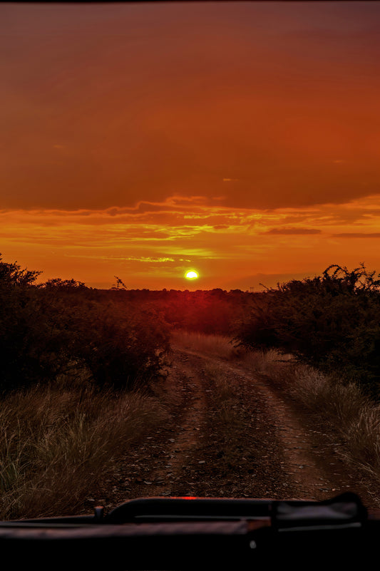 Sunset Safari Trail